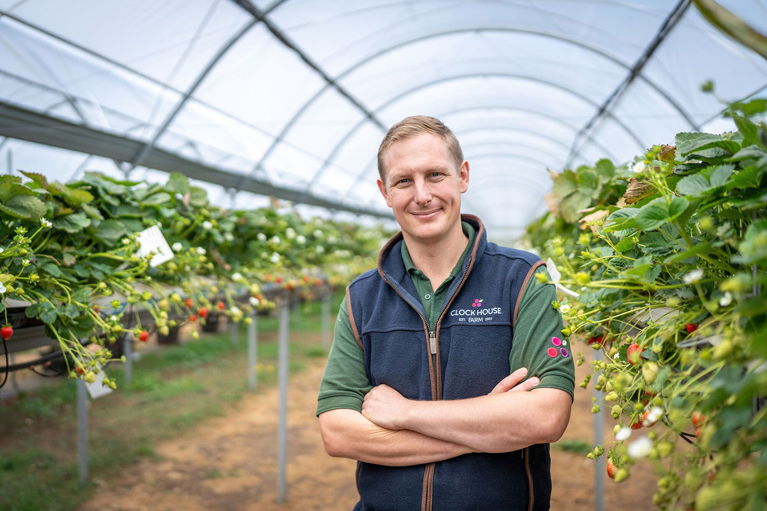 Shepherd Neame Food heros image of a man standing in a huge greenhouse